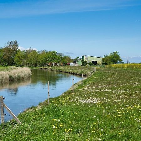 Fewo Auf Dem Lande / Nahe Spo Tumlauer Koog Eksteriør bilde