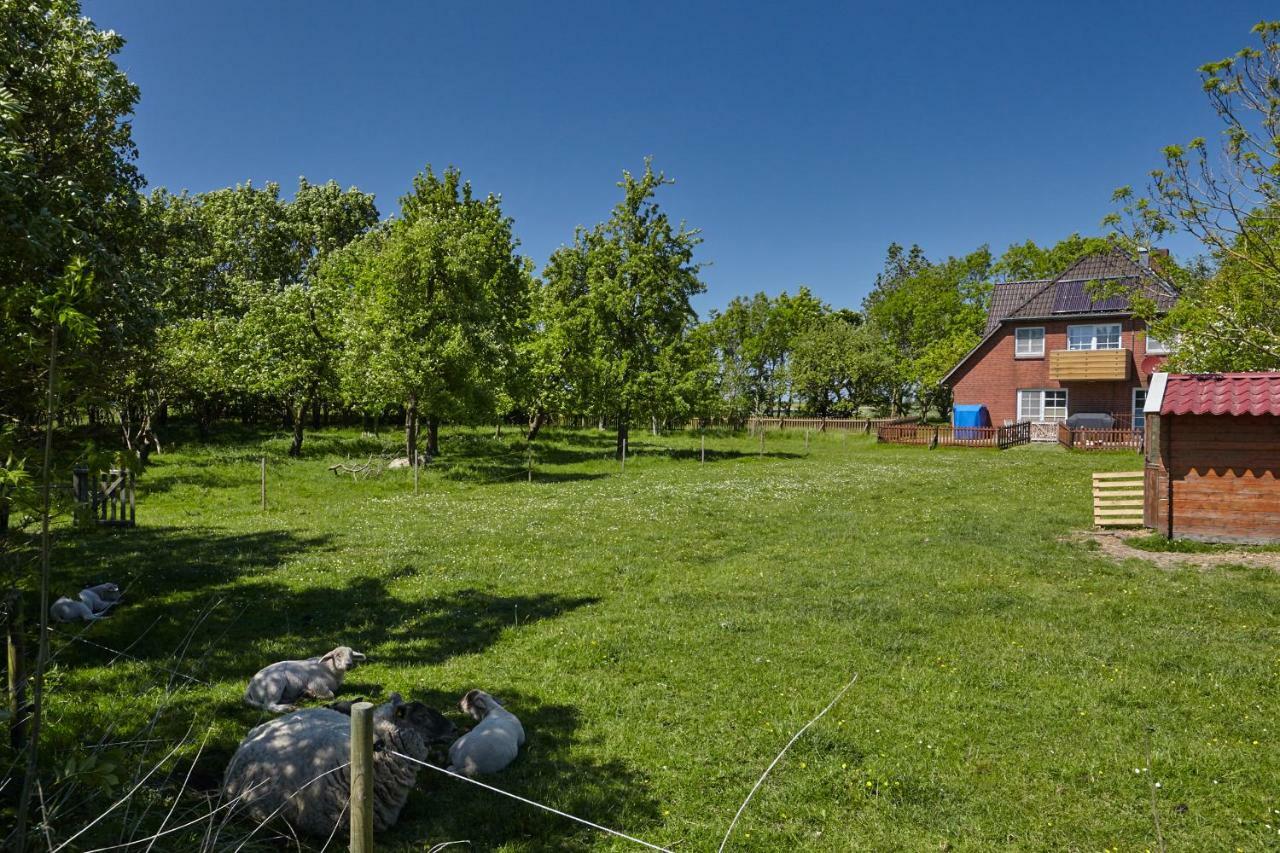 Fewo Auf Dem Lande / Nahe Spo Tumlauer Koog Eksteriør bilde